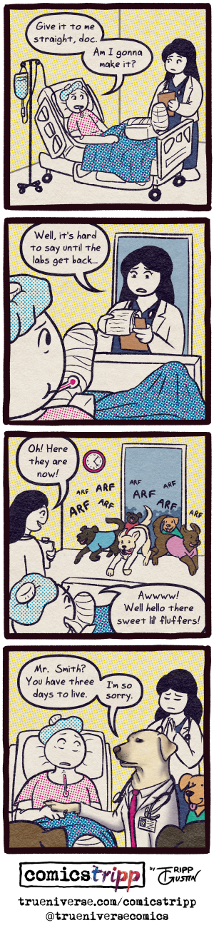 comicstripp